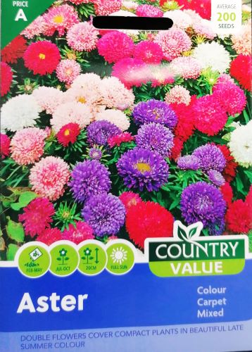 Aster Colour Carpet Mixed Seeds